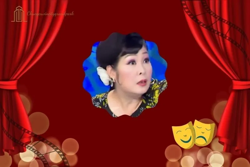 Tổng quan hành trình sự nghiệp diễn viên Hồng Vân