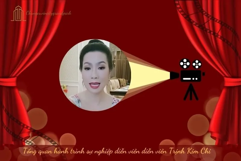 Tổng quan hành trình sự nghiệp diễn viên Trịnh Kim Chi