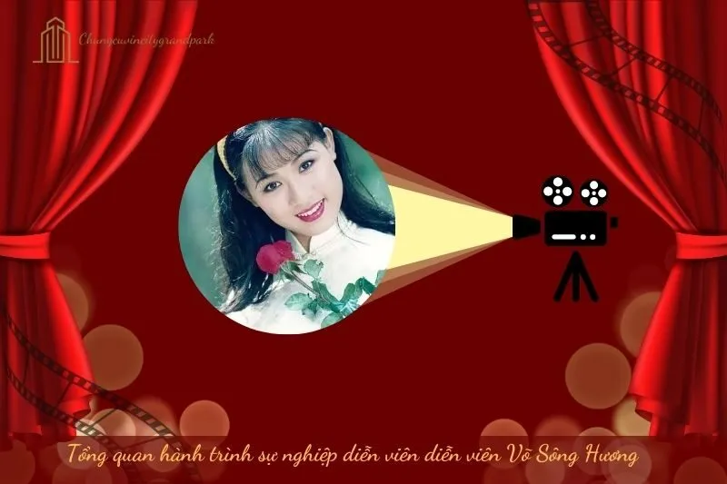 Tổng quan hành trình sự nghiệp diễn viên Võ Sông Hương